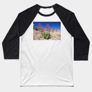 Red valerian (Centranthus ruber) flowers (C024/9378) Baseball T-Shirt